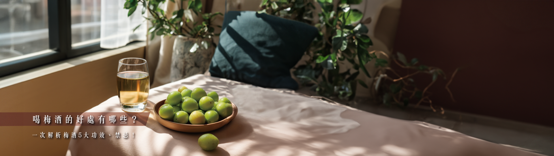 喝梅酒的好處有哪些?一次解析梅酒5大功效、禁忌!