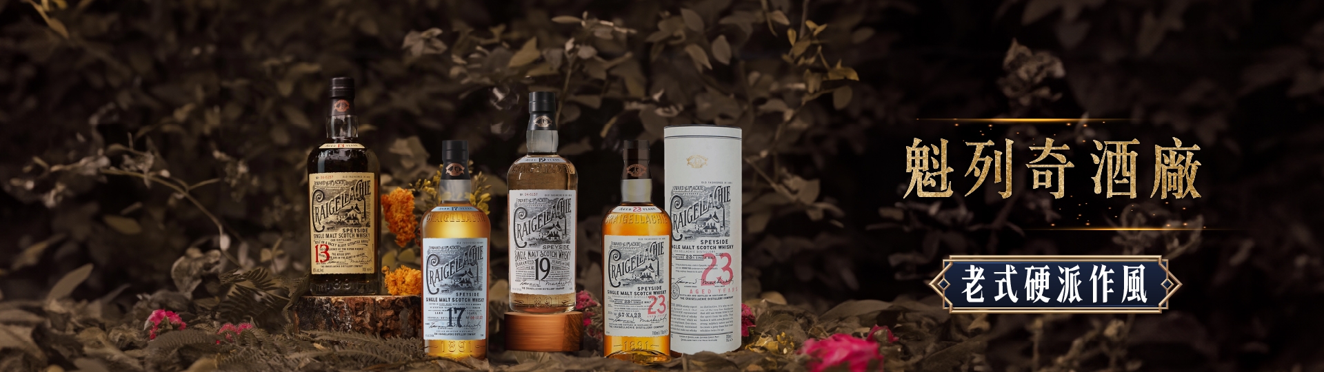 魁列奇 ★ 狂放不羈的壞小子