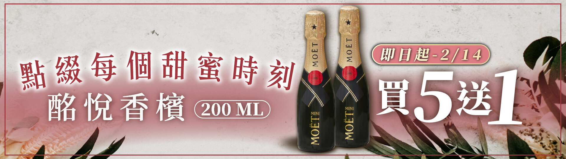 精品級香檳 ★ 庫克172EME版