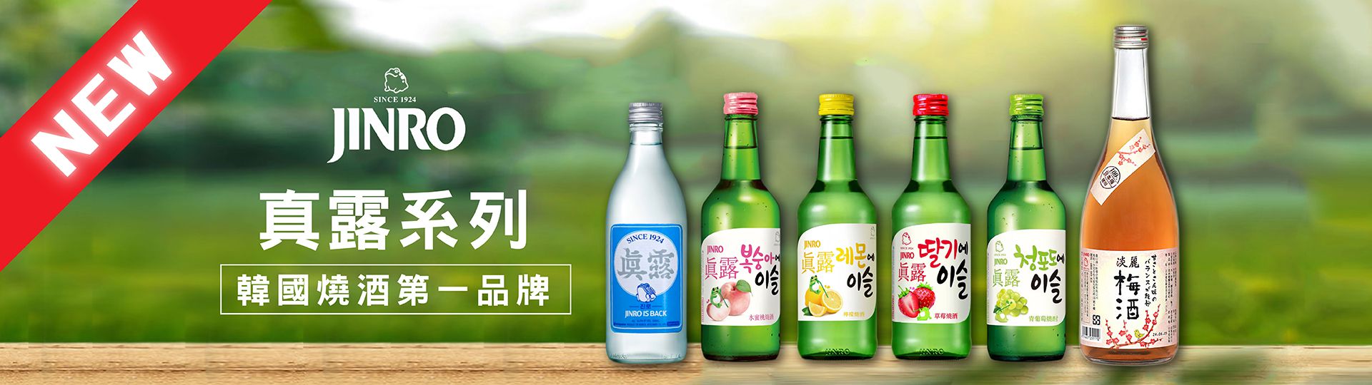 真露系列 ★ 具影響的燒酒