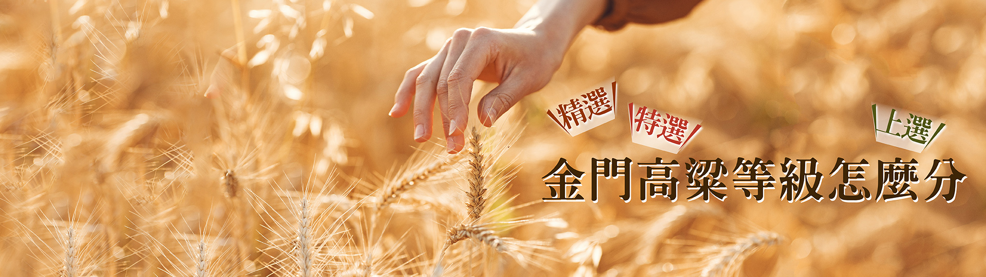 金門高粱推薦 ★ 金門高粱等級怎麼分